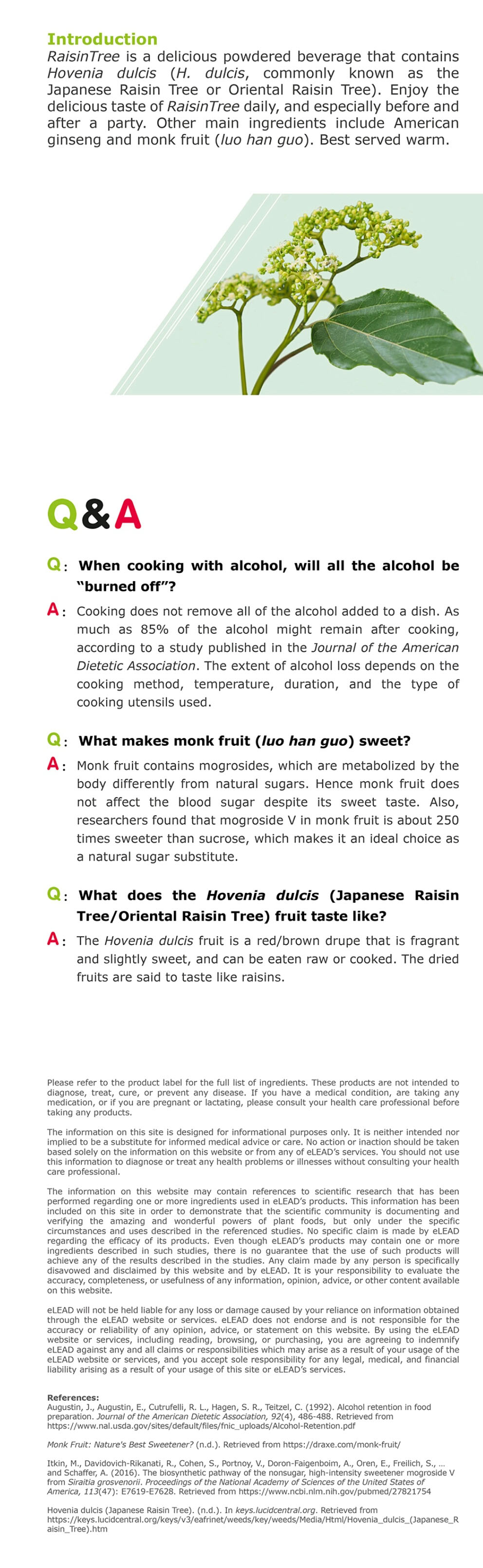 raisintree-info-english-v2