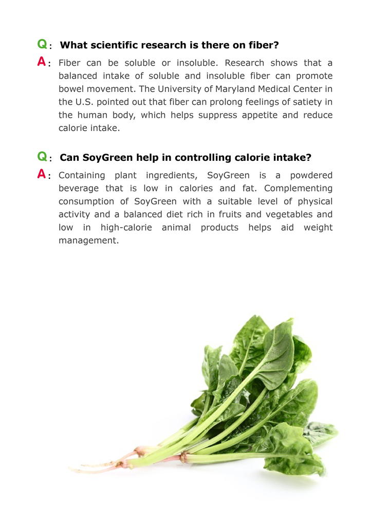 soygreen 3